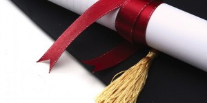 Psychothérapeute psychologue